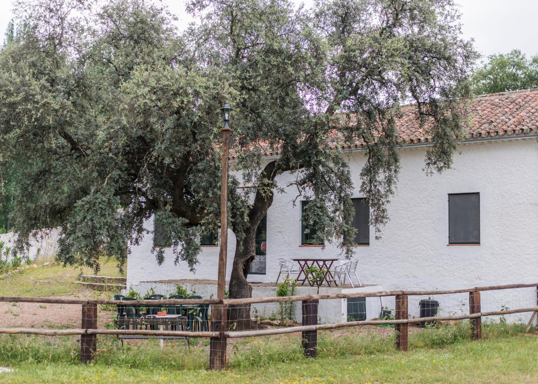 La Umbria De La Ribera Guest House El Pedroso Bagian luar foto