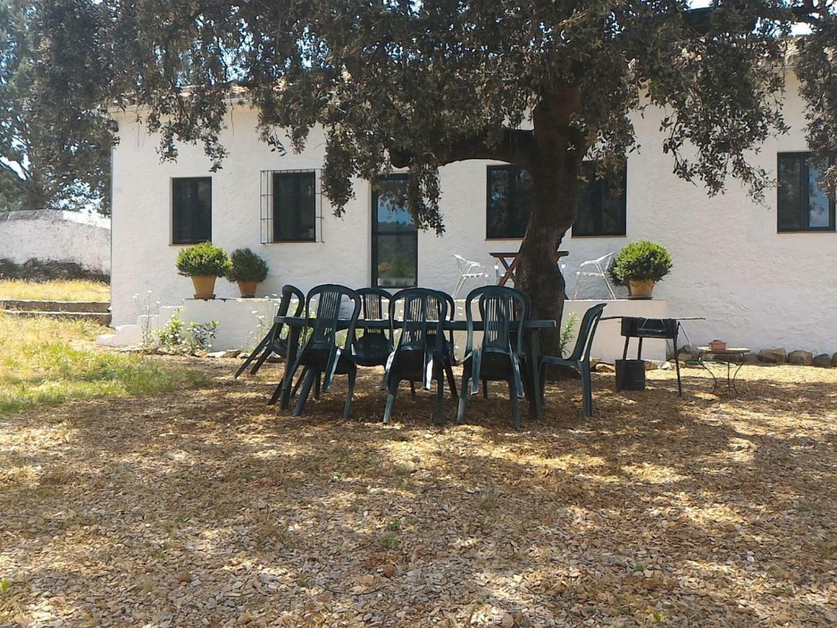 La Umbria De La Ribera Guest House El Pedroso Bagian luar foto