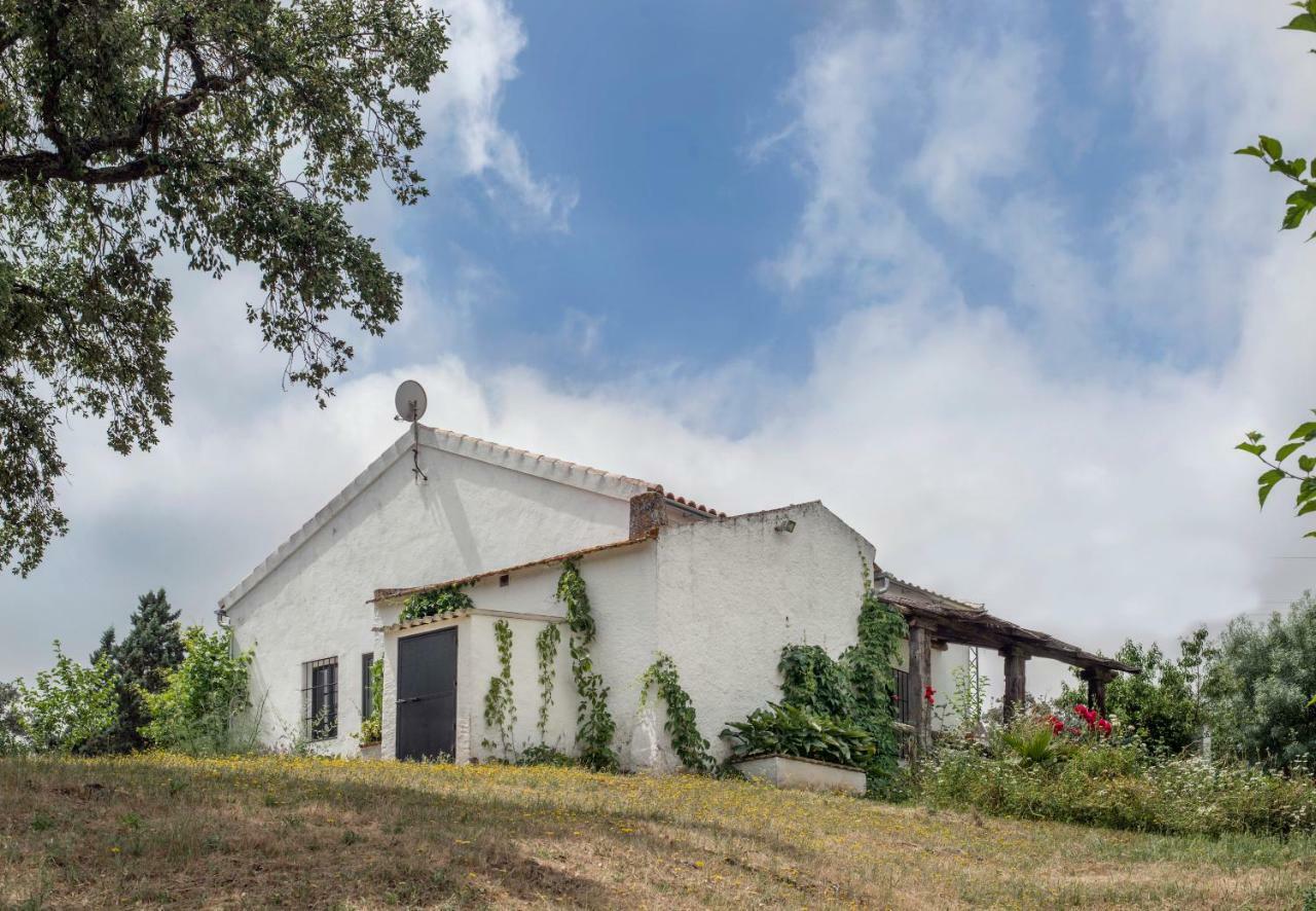 La Umbria De La Ribera Guest House El Pedroso Bagian luar foto