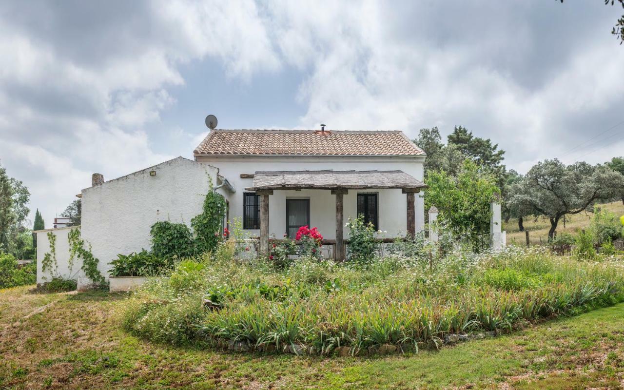 La Umbria De La Ribera Guest House El Pedroso Bagian luar foto