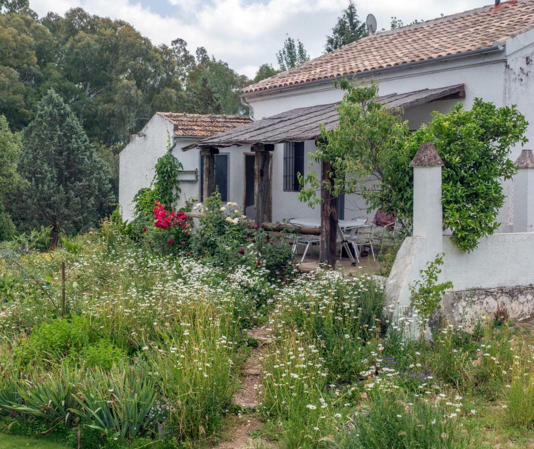 La Umbria De La Ribera Guest House El Pedroso Bagian luar foto