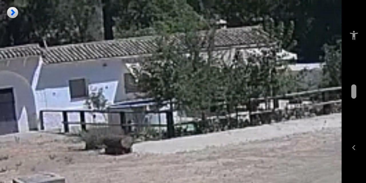 La Umbria De La Ribera Guest House El Pedroso Bagian luar foto